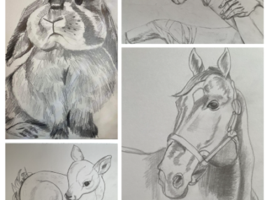 ONLINE: Intro to Sketching and Shading