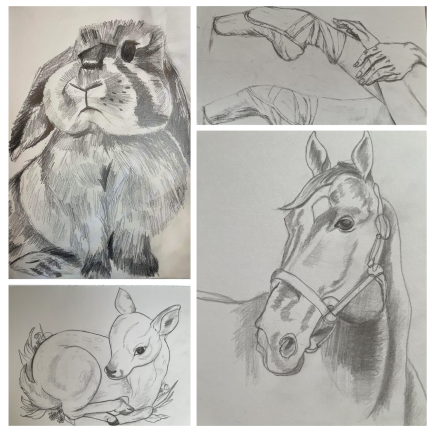 ONLINE: Intro to Sketching and Shading