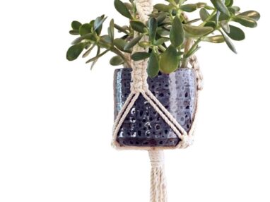 Craft & Sip: Macrame Plant Hanger Workshop