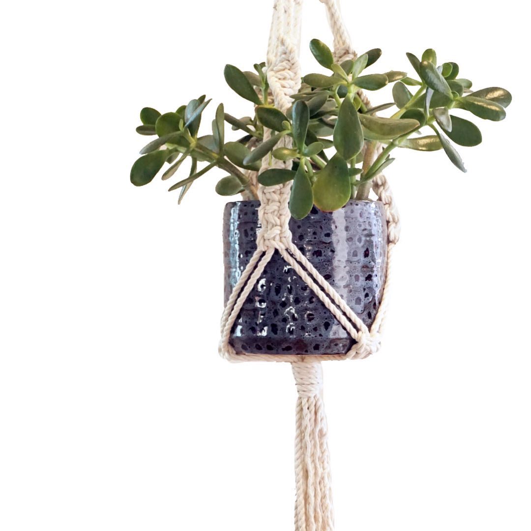 Craft & Sip: Macrame Plant Hanger Workshop